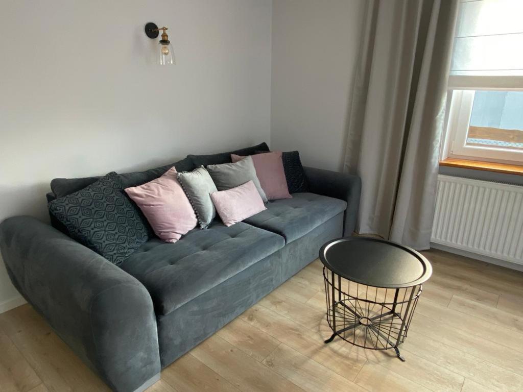 Zaciszne Domki Apartamenty เมียนซิดดรอแย ภายนอก รูปภาพ
